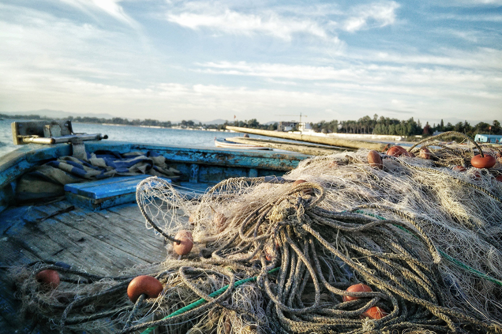 Pesca, fermo prolungato mette a rischio l’economia del mare in Toscana