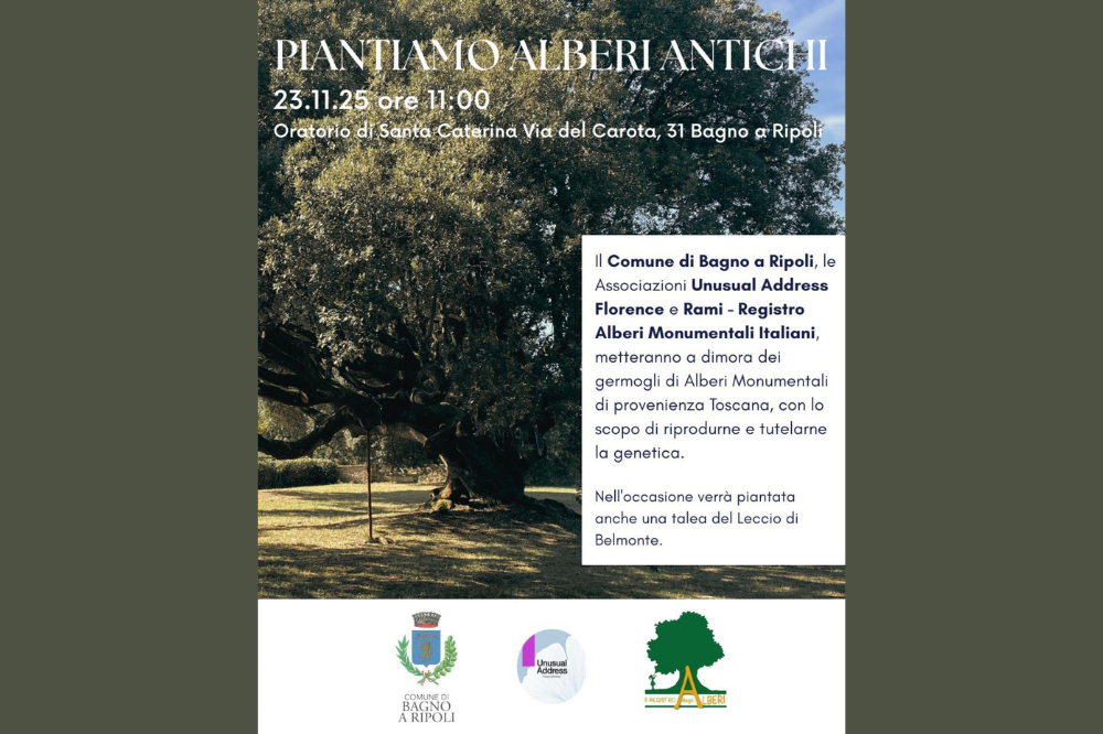 Gli eredi dei “giganti verdi”: a Bagno a Ripoli un nuovo bosco con i “figli” degli alberi monumentali di tutta la Toscana