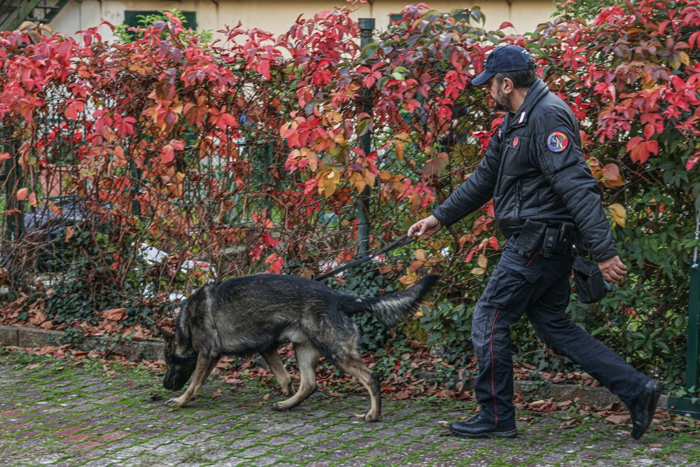 Scoperti con 125 chili di hashish, arrestati marito e moglie