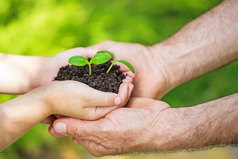 Al via il Distretto biologico del territorio fiorentino