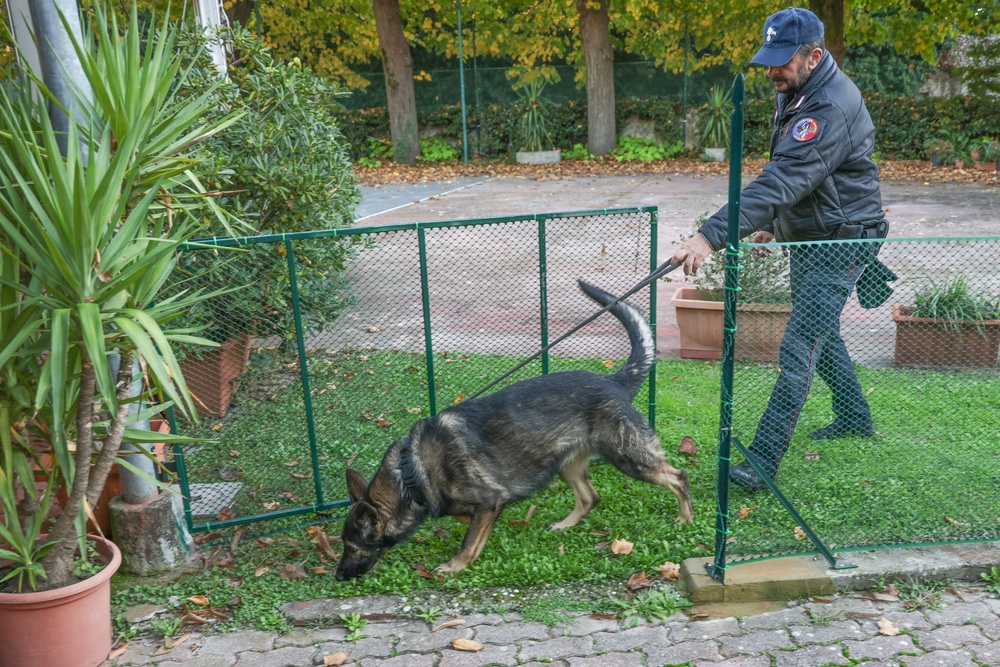 Sicurezza, spaccio e degrado a Campo di Marte
