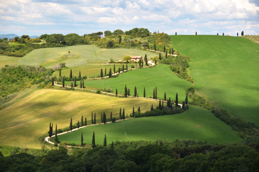 Agricoltura, Toscana fra le prime per capacità di spesa dei fondi Ue