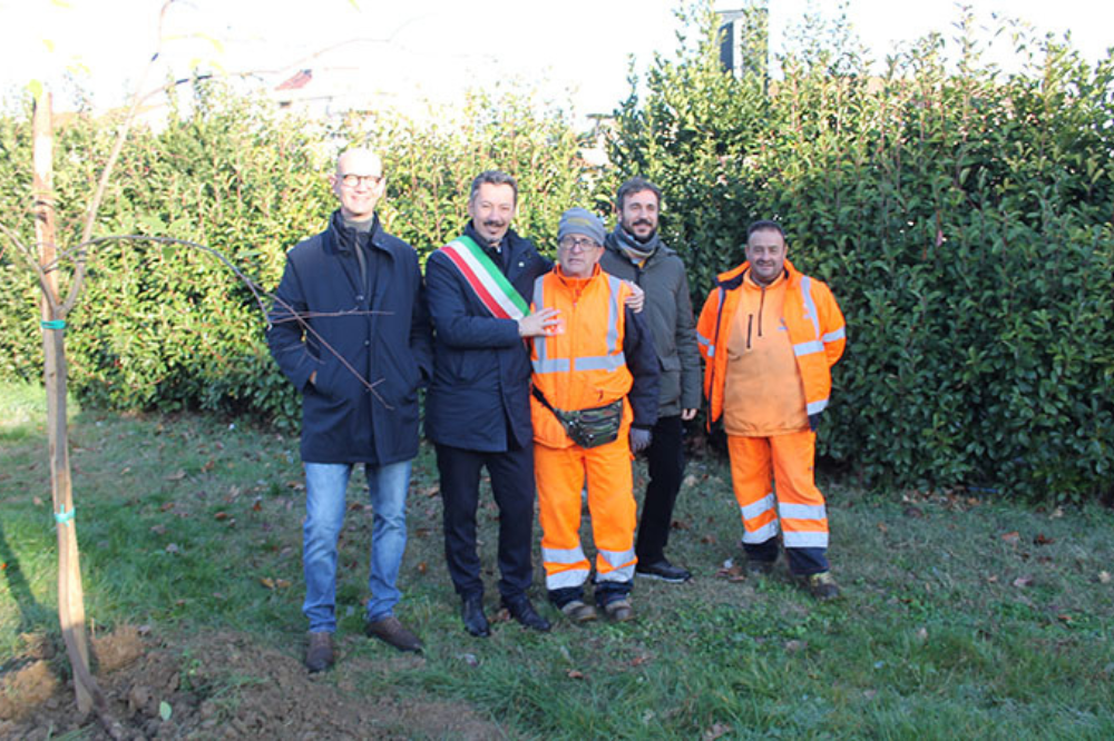 Piantati due nuovi alberi nel giardino Terzani a Sovigliana