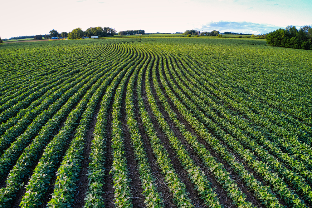 Irpet, nel 2025 contrazione dell'export agroalimentare toscano 