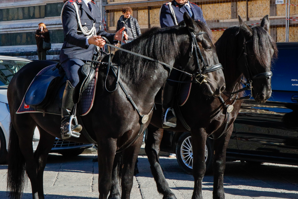 Firenze saluta ‘nonno’ Egidio, il cavallo più anziano della Polizia Municipale