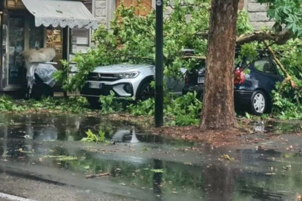 Un ramo si spezzò e colpì l’auto di un passante, il Comune condannato a risarcire