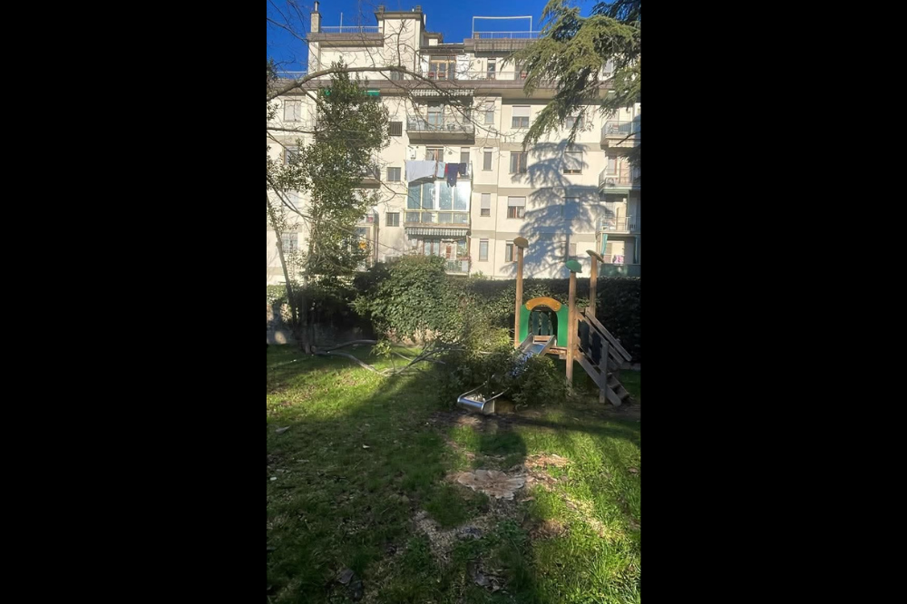 Firenze, pericoloso abbandono al Giardino di Via Locchi: parte di un albero cade su uno scivolo giochi
