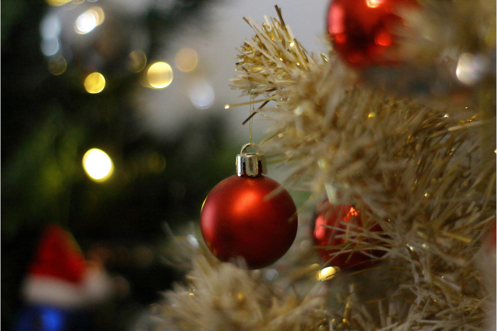 Finiscono le feste, come smaltire gli alberi di Natale