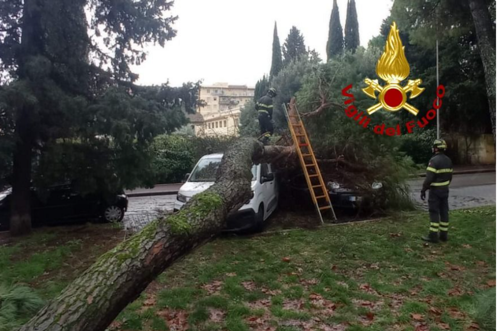 AGGIORNATA - Cade un pino a Scandicci, strada bloccata