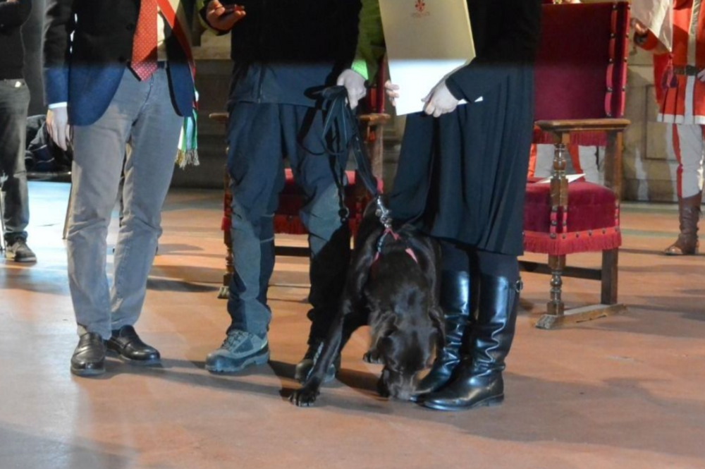 Addio a Rocky: il labrador dei Vigili del Fuoco che ha dedicato la vita al soccorso