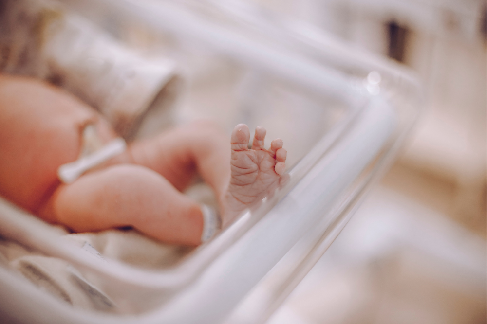 A Prato una 'Culla per la vita' contro l'abbandono dei neonati