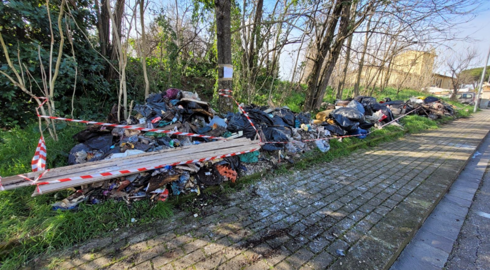 Via Donizetti, al via la pulizia straordinaria del bosco urbano