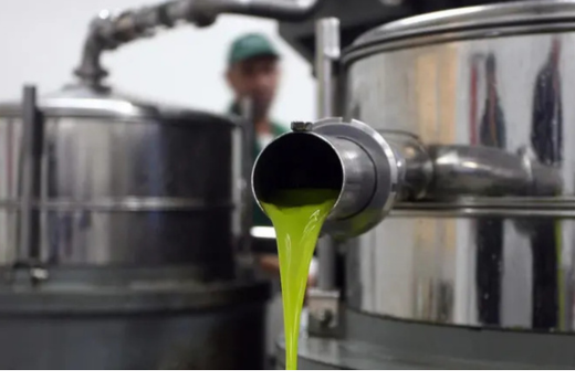 Olio, per l'extravergine Laudemio 2025: annata record