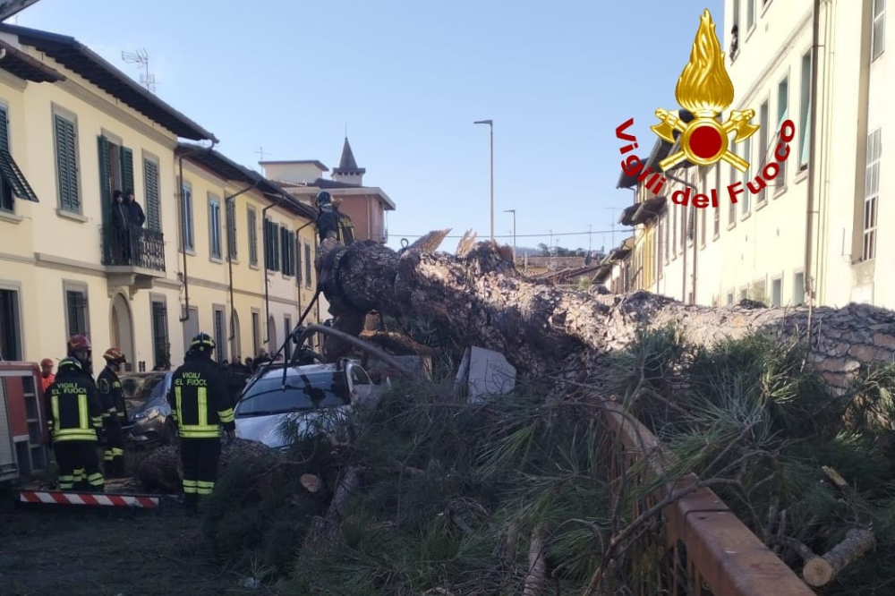 Alberi osservati speciali, a Scandicci pronte le ricognizioni