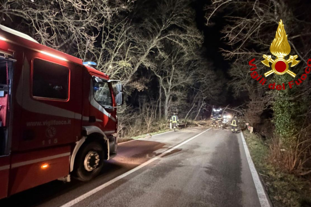 Pianta cade lungo la strada nel Fiorentino, nessun ferito