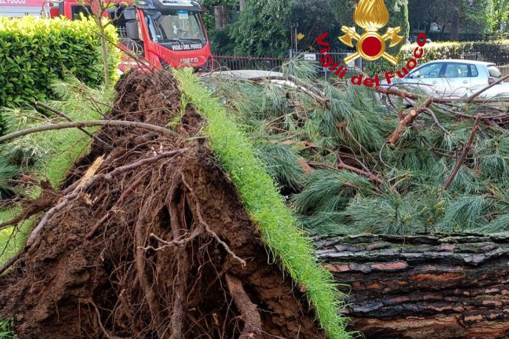 [AGGIORNATA] Maltempo, albero cade e colpisce una scooterista a Firenze