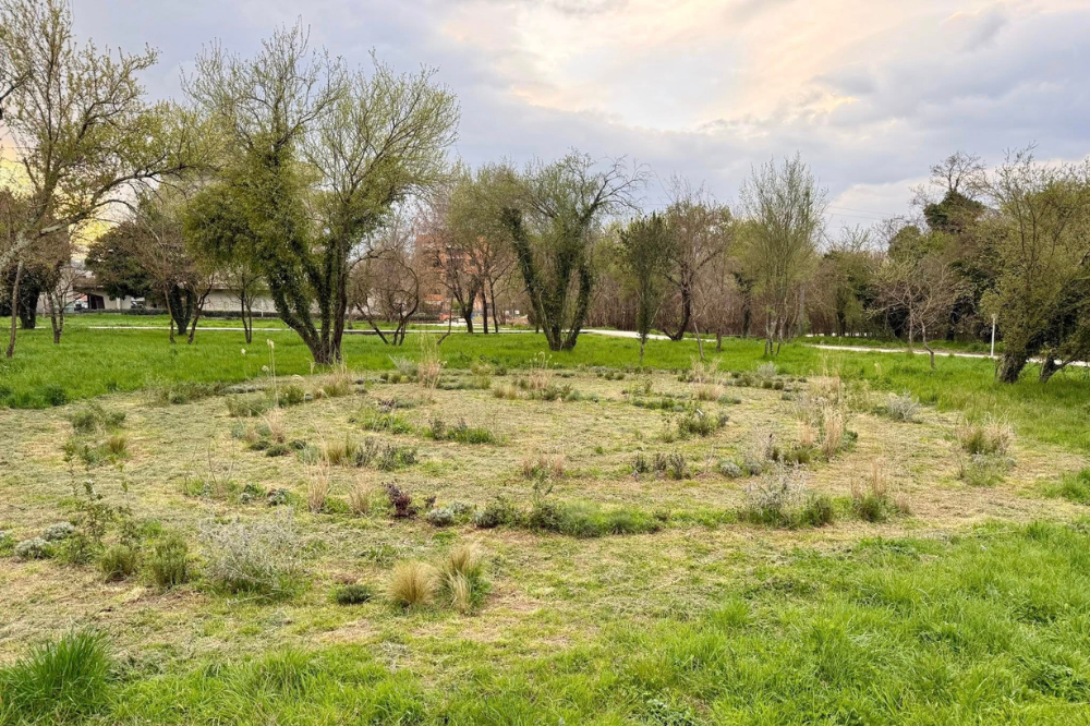 Inaugurato a Sorgane il nuovo parco urbano di Bagno a Ripoli: nove ettari di natura e spazi accessibili a tutti