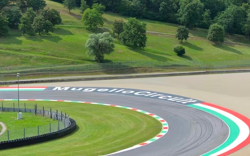 Catturati 18 caprioli nell'autodromo del Mugello poi liberati in Appennino