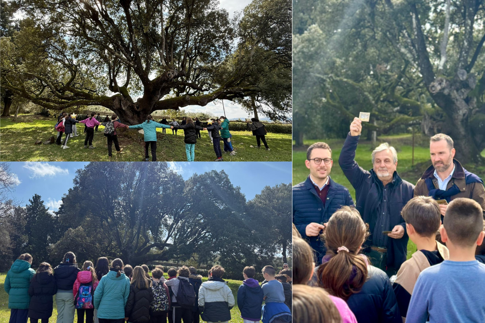 I bambini della “Michelet” in visita al Leccio di Belmonte. E lunedì gli alunni della scuola “E.Agnoletti” pianteranno nuove talee di alberi monumentali
