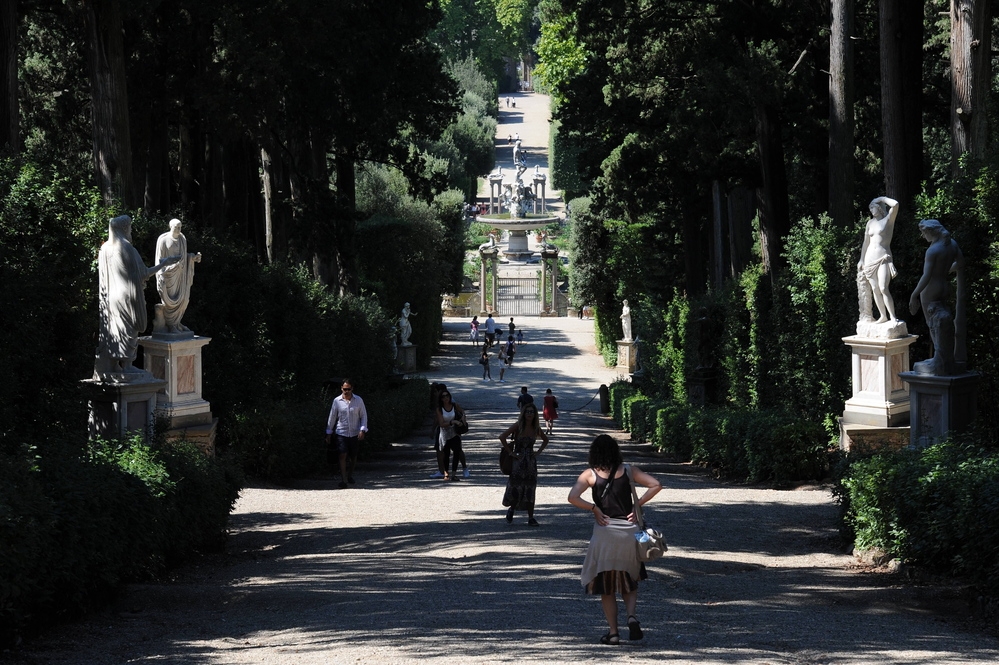 A Boboli apre il giardino segreto delle camelie 