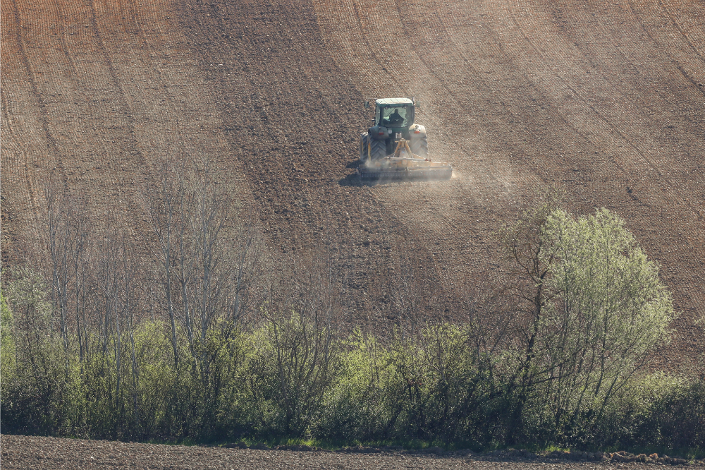 La Toscana in aiuto dei giovani agricoltori 