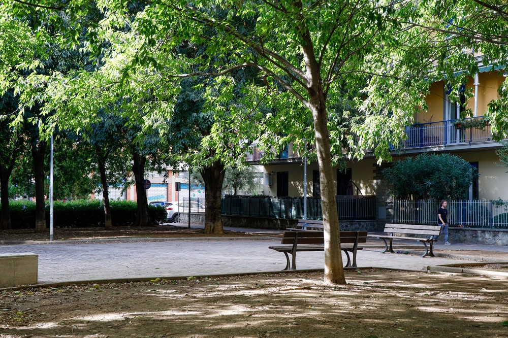 Il Comune accelera sul verde pubblico