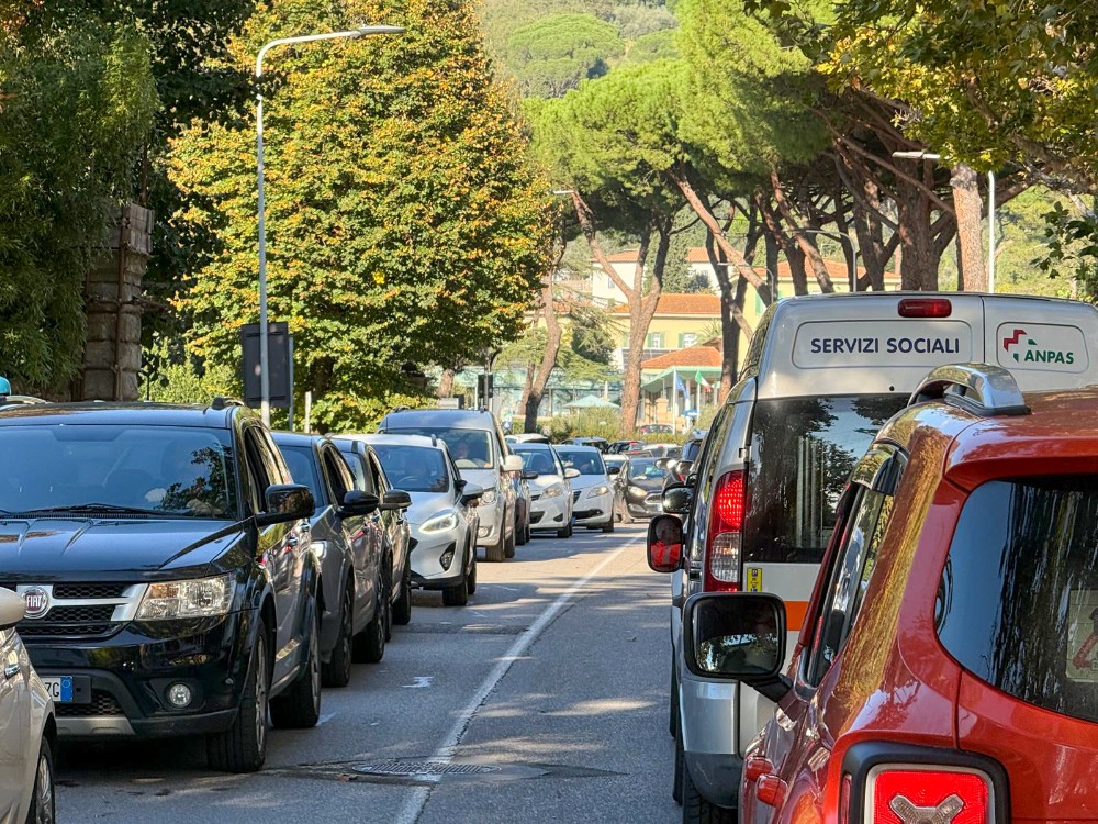 L'assessore Vicini rassicura: 