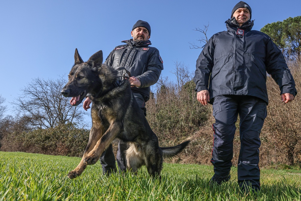 Unità cinofile in piazza Tasso, ritrovata droga nelle siepi