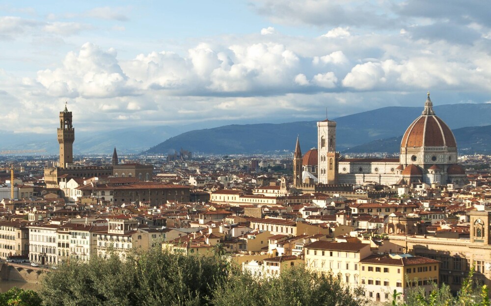 Salviamo Firenze: 