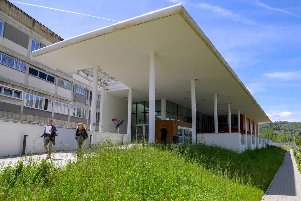 Rimosso alveare di 60.000 api dall'ospedale fiorentino di S.Maria Annunziata