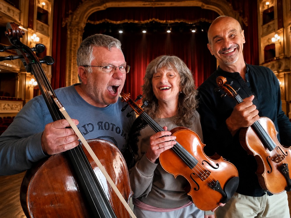 Mozart: Che divertimento!