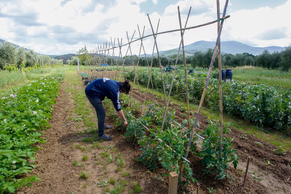 Agricoltura 5.0 in Toscana, una azienda su cinque investe nel digitale