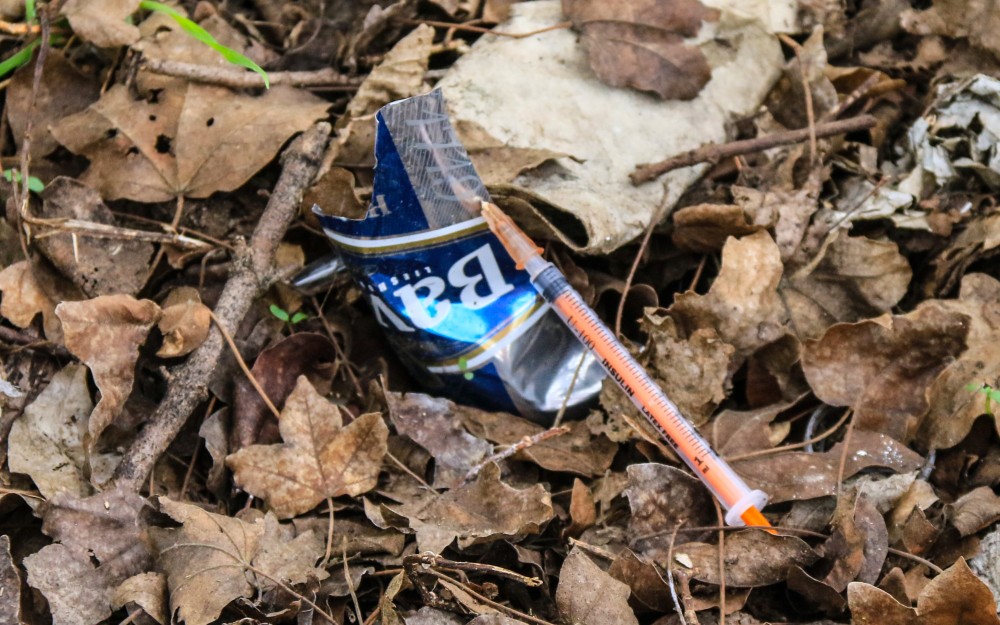 Via Redi, nuova denuncia sul degrado lungo la ciclabile: chiesto al Comune il taglio delle siepi 