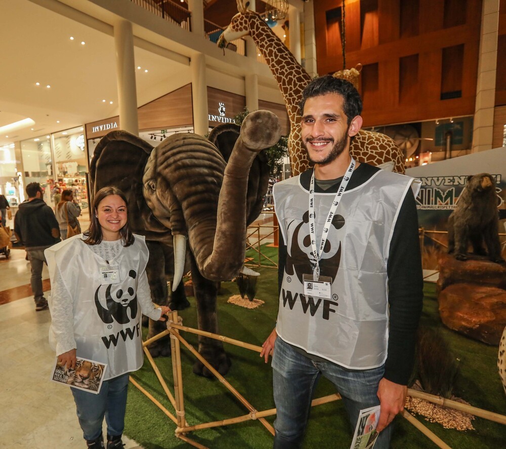 Wwf: calendario venatorio toscano in contrasto indicazioni scienza