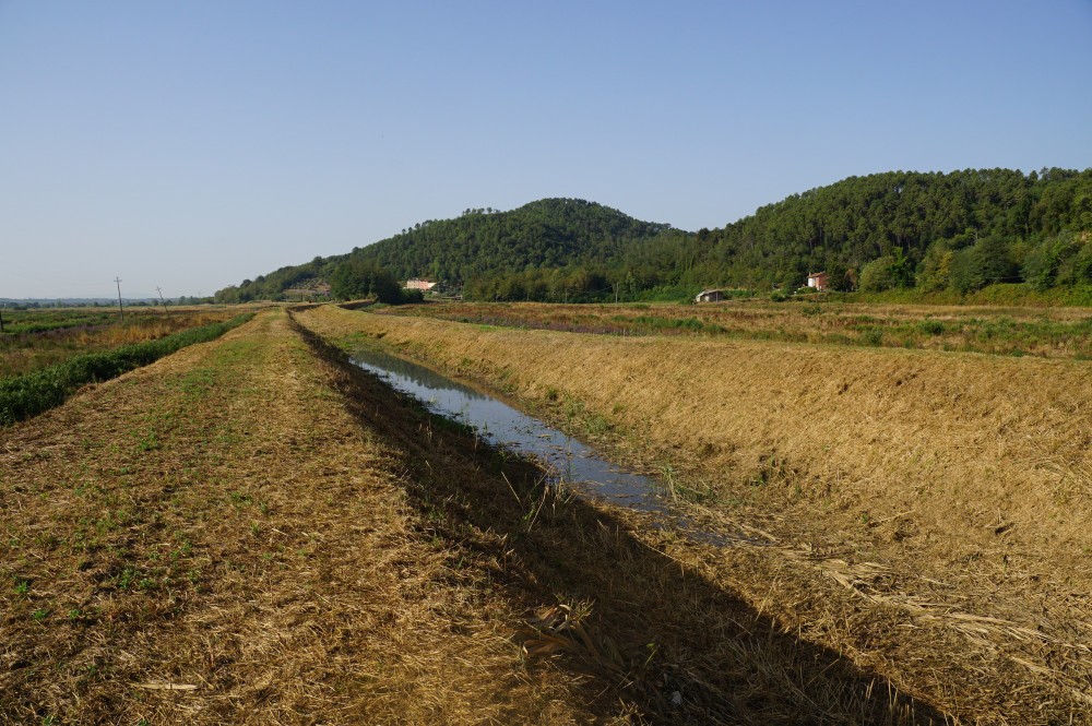 Caldo e grandine mettono in ginocchio le campagne: raccolti e allevamenti in crisi
