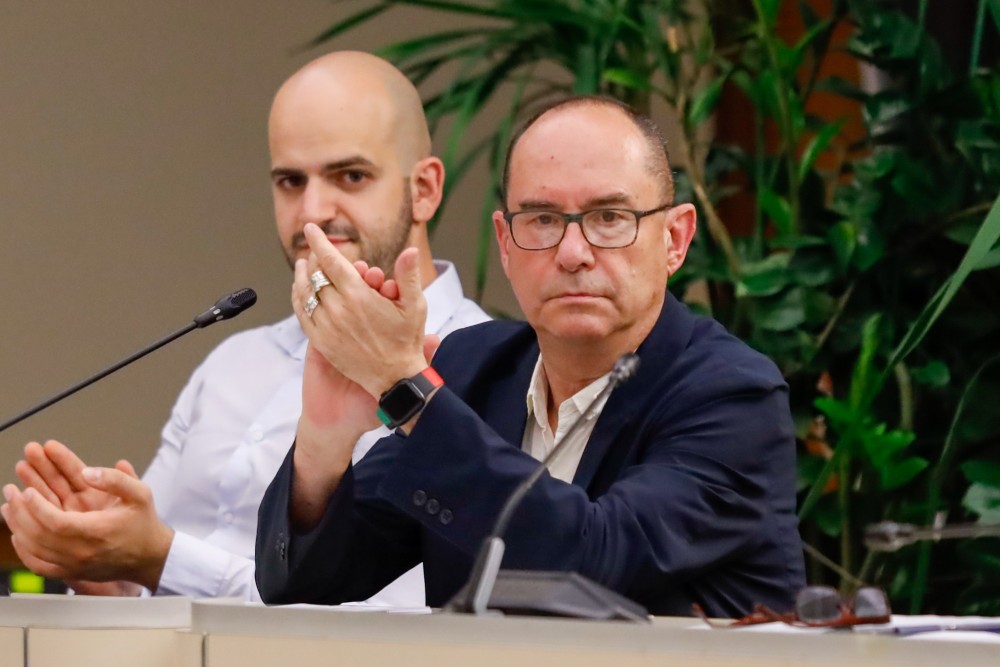 Scandicci, via i pini a rischio: il Consiglio approva il piano di sostituzione