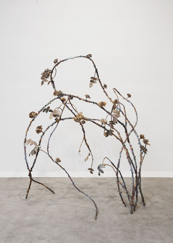 The Briar Rose. L' installazione dell’artista contemporaneo francese Jean-Marie Appriou segna la nuova collaborazione tra Palazzo Strozzi e Villa Bardini