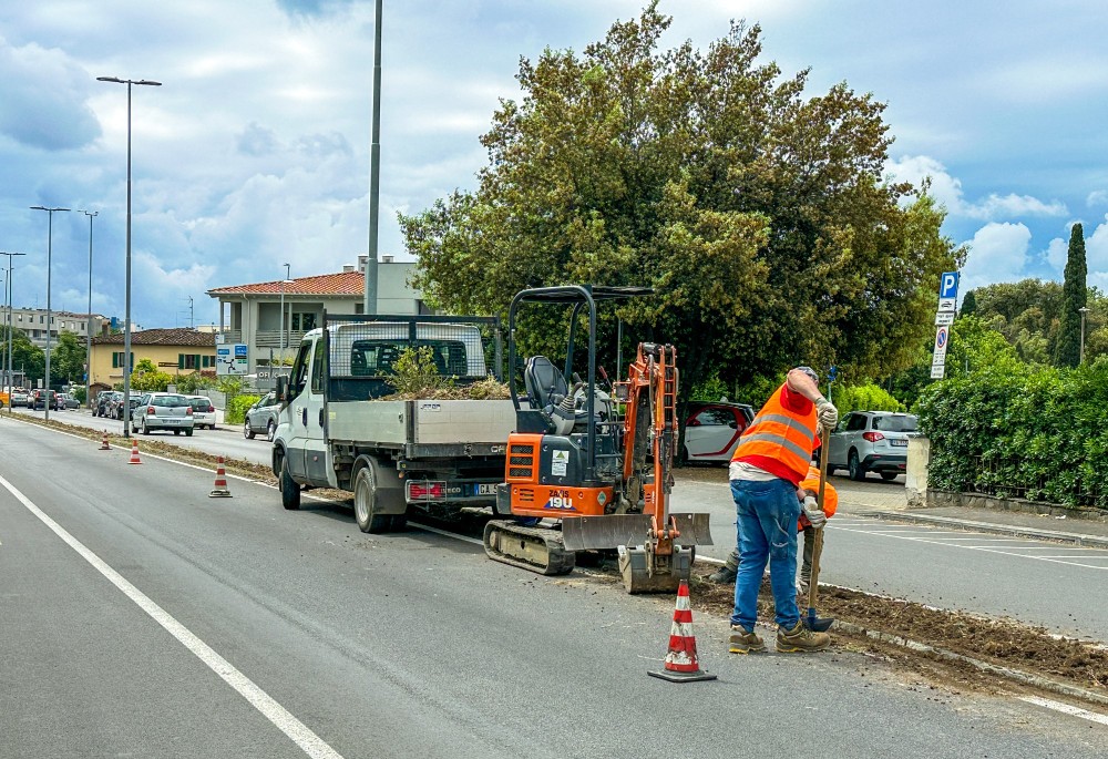 Sanità, Agronomi: «Gli alberi sono essenziali per città più vivibili, serve investire nel verde»