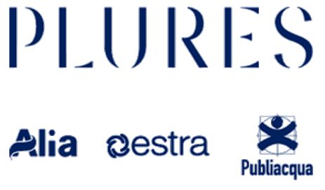 Tariffa rifiuti, Plures: 