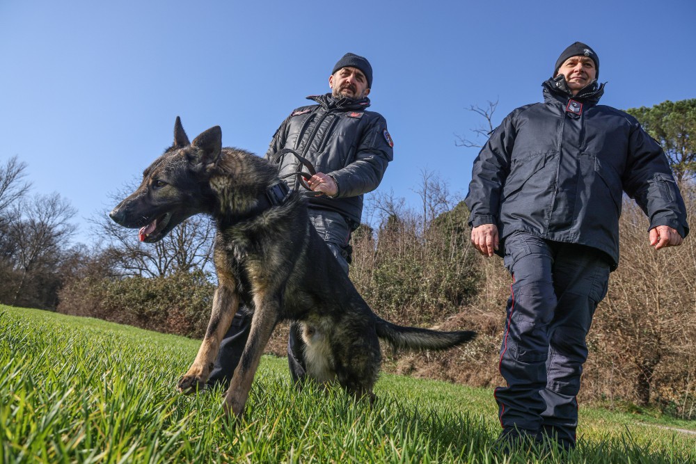 Controlli a Campo di Marte, tre pusher fermati e 340 violazioni al codice della strada