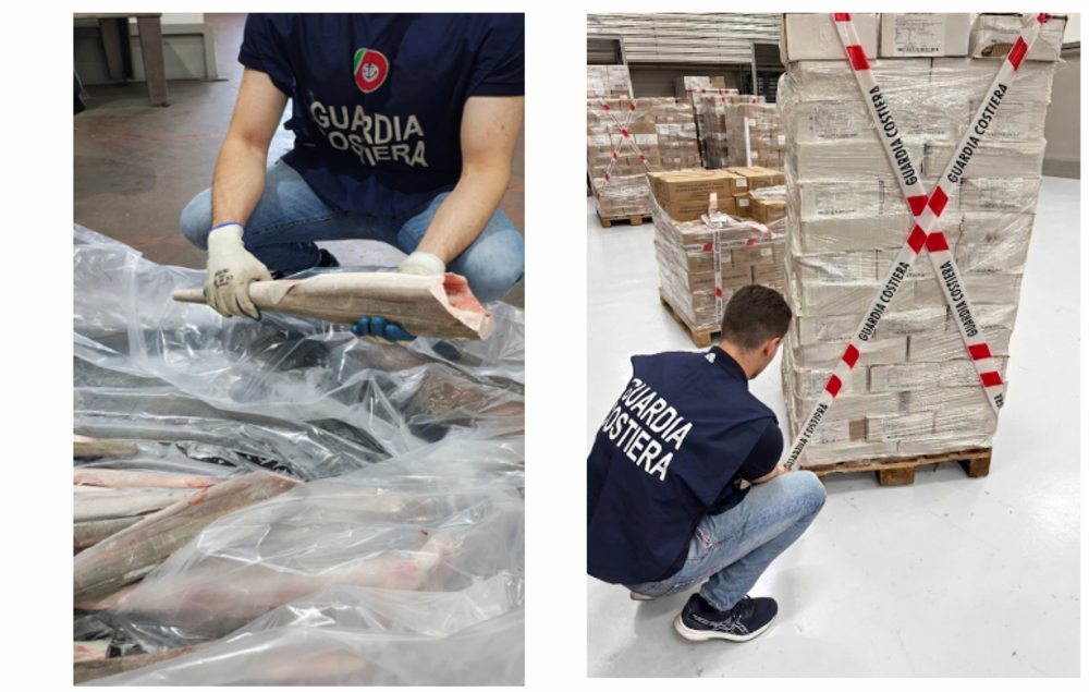 Maxi operazione sulla filiera ittica a Firenze: sequestrate due tonnellate di pesce, multe per oltre 50mila euro in Toscana