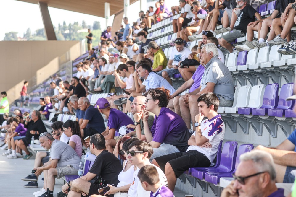 Fiorentina, idea Under 23: possibile nuovo stadio accanto al Viola Park