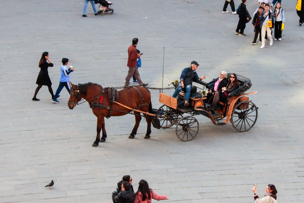 Firenze valuta l'addio alle carrozzelle con i cavalli: ipotesi mezzi elettrici
