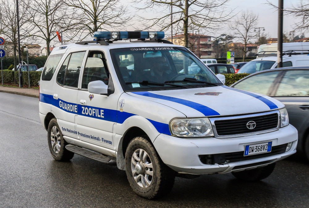 Esche avvelenate, controlli nei giardini del Quartiere 2: nessun ritrovamento