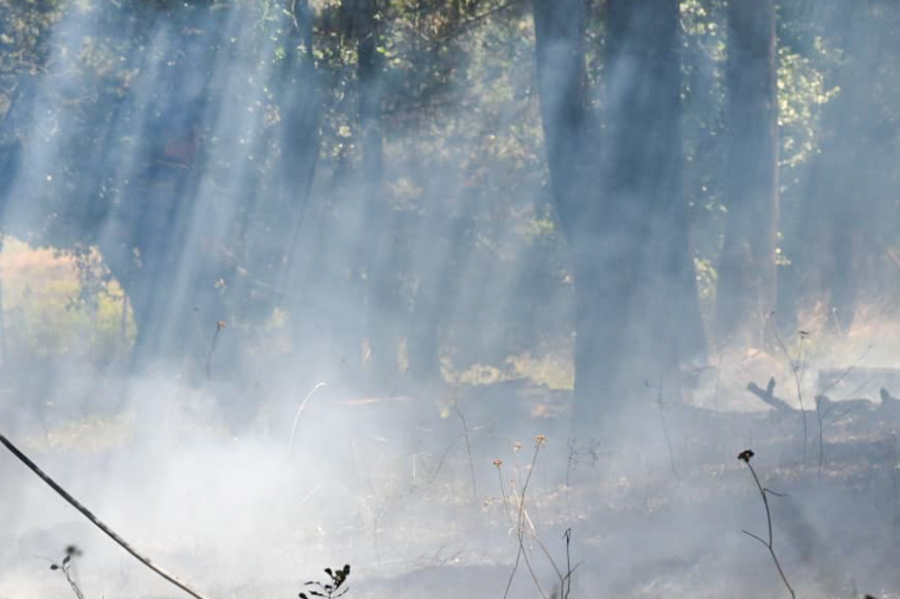 Fumo degli incendi in Francia arriva a Firenze: odore di bruciato nell’aria