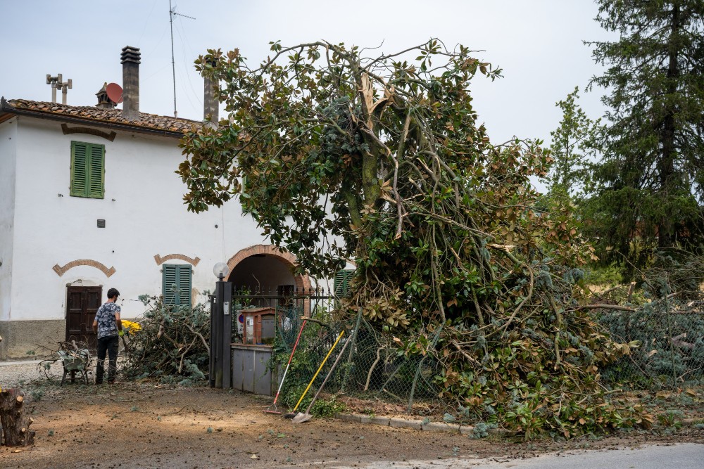 Nubifragio nell’Empolese Valdelsa: alberi caduti, danni e allagamenti