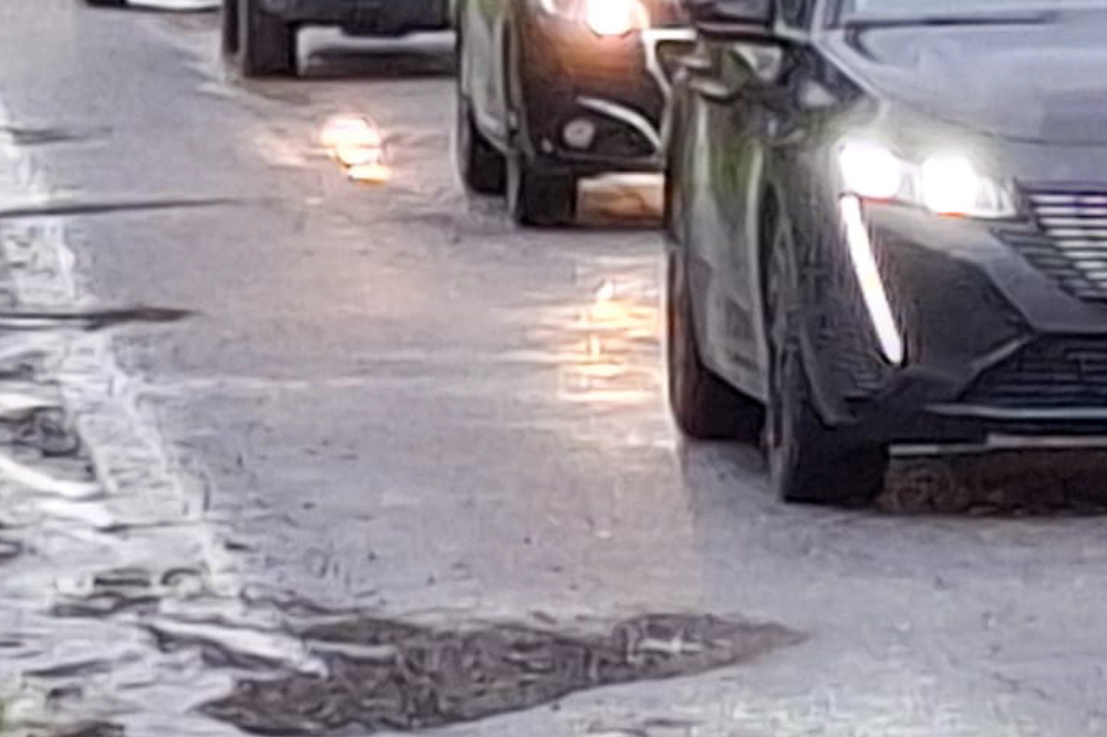 AGGIORNATA - Forte vento su Firenze, raffiche e cadute provocano danni e disagi in città
