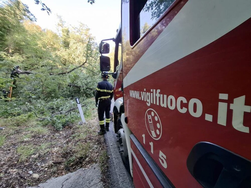 Maltempo: a Firenze proseguono gli interventi dei vigili del fuoco