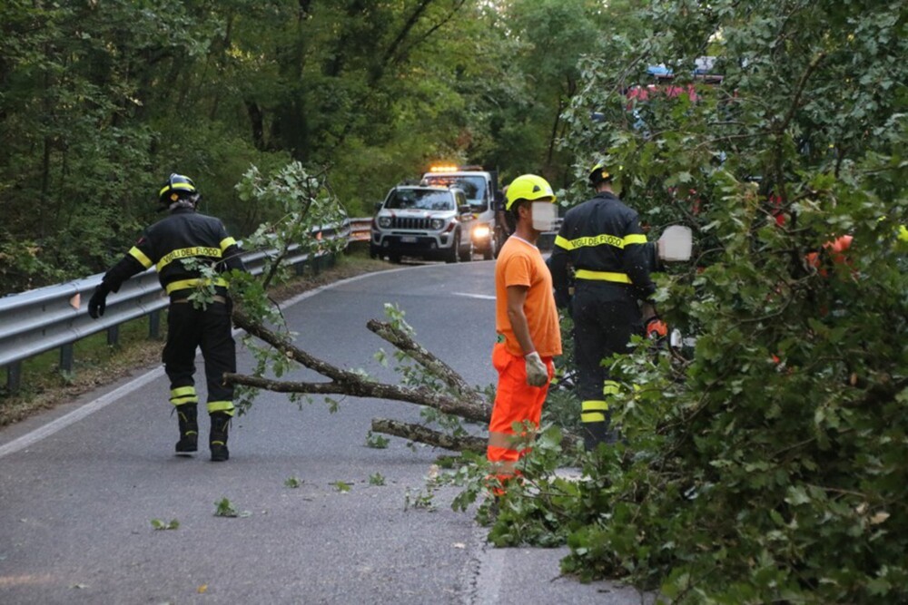 Maltempo: a Firenze ancora chiusi tre giardini per messa in sicurezza