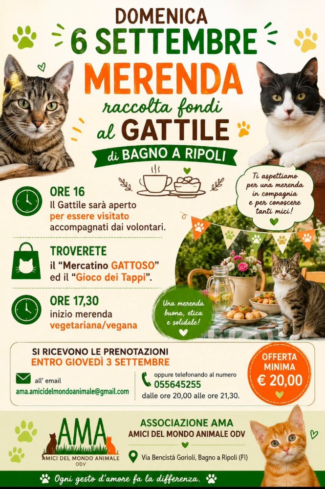 Bagno a Ripoli, una merenda solidale per sostenere il gattile